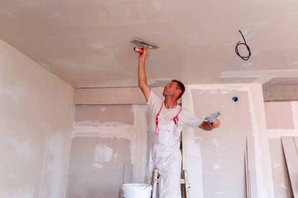 Best Drywall Patching  in Carnegie, PA